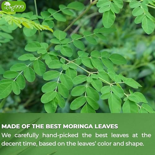 Turmeric & Moringa Wellness Duo – Turmeric Ginger Cinnamon Tea & Moringa Leaf Tea Bags for Daily Balance