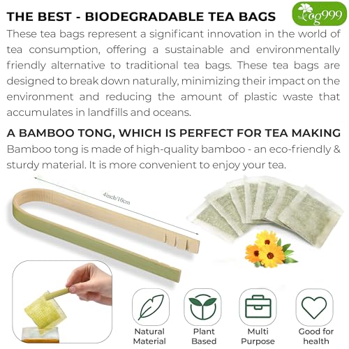 Turmeric & Moringa Wellness Duo – Turmeric Ginger Cinnamon Tea & Moringa Leaf Tea Bags for Daily Balance